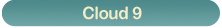 Cloud 9 Wedding Packages in Myrtle Beach